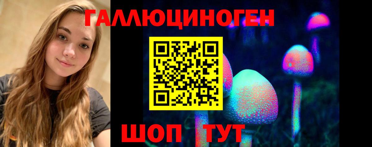 Галлюциногенные грибы Psilocybine cubensis  Вход с VPN  Унеча 